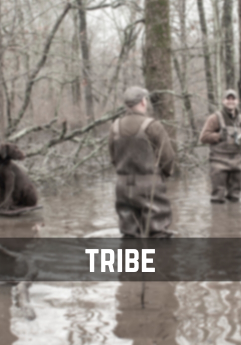 mens ministry mens bible study